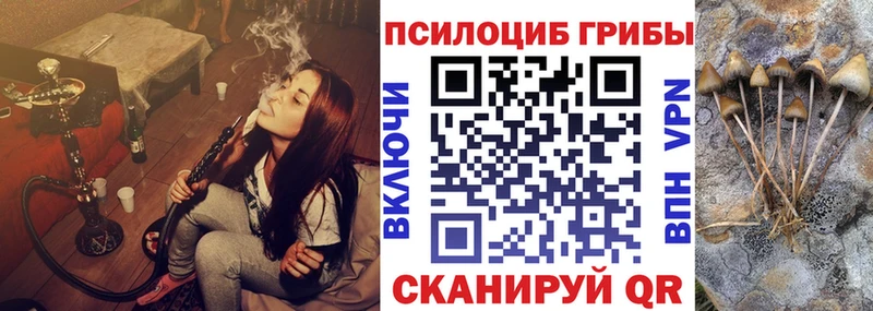 Галлюциногенные грибы MAGIC MUSHROOMS ОМГ ОМГ ссылка Шагонар